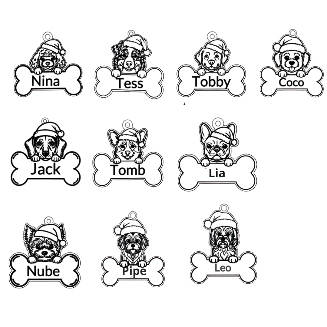 Bolita mascota perro