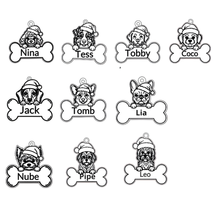 Bolita mascota perro