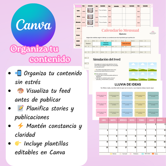 Organiza tu contenido como un profesional